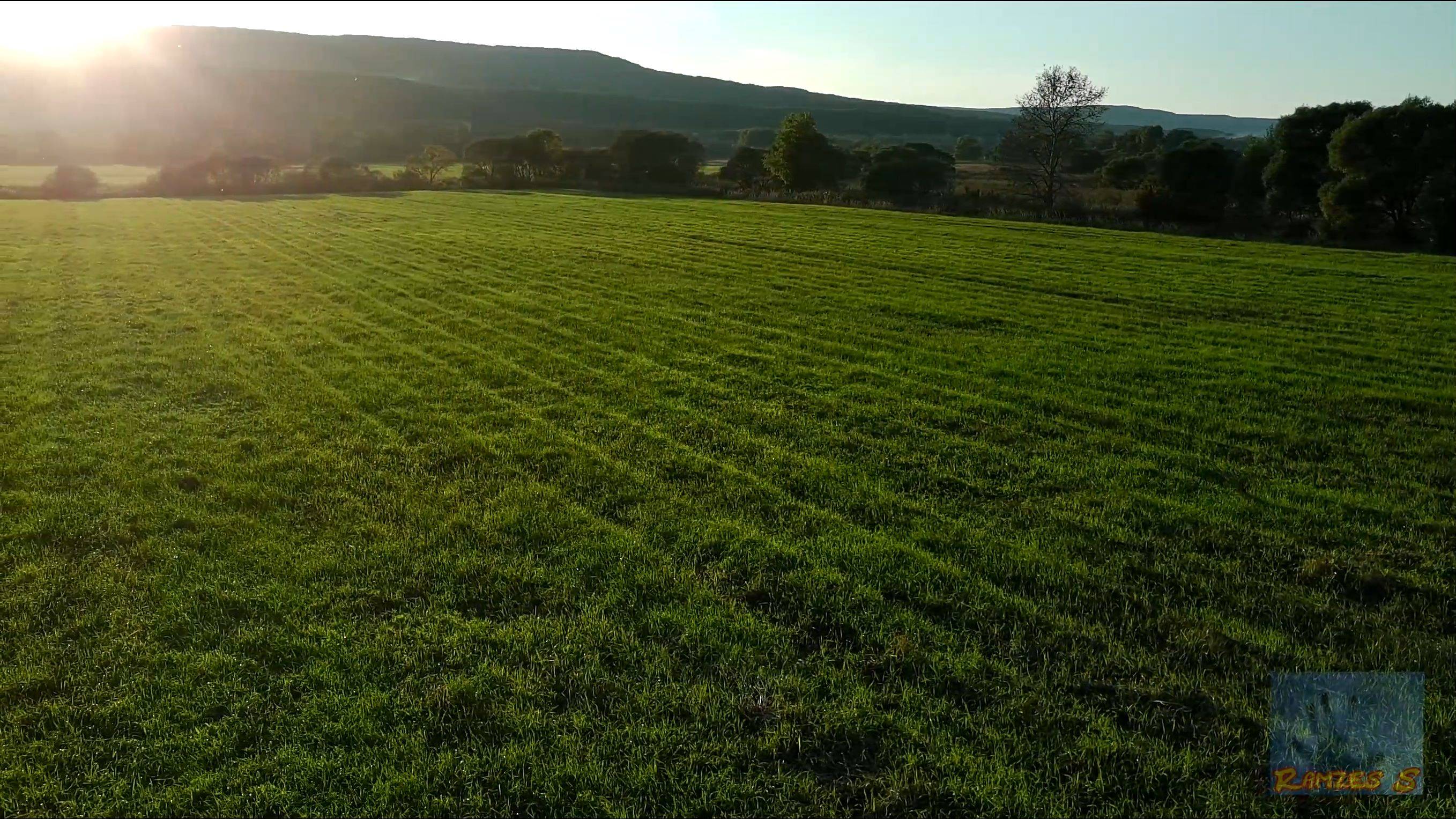 Поля как стадионы.