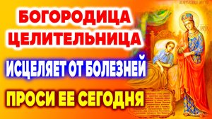Попроси сегодня о здоровье и исцелении! Сильная молитва Богородице «Целительница»