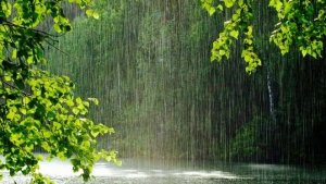 Капельки слез 🥹🥹🥹