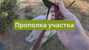 Прополка участка