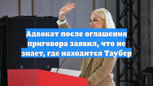 Защита Таубер оспорит приговор в вышестоящей судебной инстанции