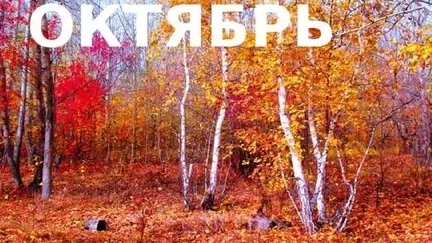 Осень. Октябрь.Листопад. Музыкальная открытка поздравление.