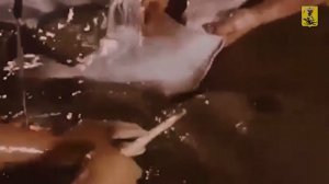 ❤ О каждом округе - с любовью и уважением!