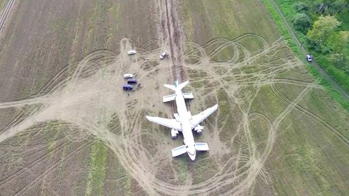 Дело пилота, посадившего самолет в поле под Новосибирском, передадут в Омск