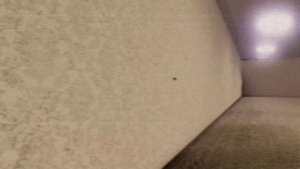 бэкрумс видео запись — настольгия