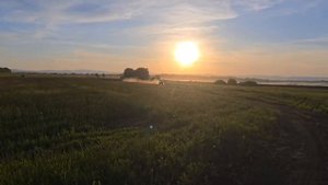 magic дуремарит