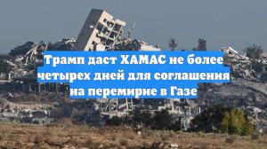 Трамп даст ХАМАС не более четырех дней для соглашения на перемирие в Газе