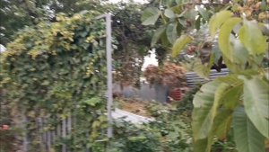 Земельный #участок  #ИЖС 7.3 сот. в центре Анапской