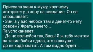 Дед Вышел из Зоны и Хочет Бабу! Подборка Анекдотов про Зону! Юмор