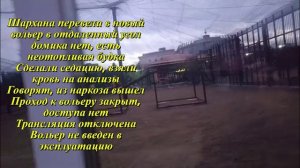 короткая версия Шархана с помощью седации превели в новый вольер и взяли анализы. Трансляции нет. 30