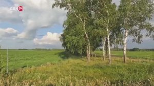 «Кофейный барон» на Дону