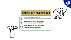 Биосфера_Географическая_оболочка