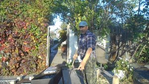 КРАЙНИЙ ТЕПЛЫЙ ДЕНЬ