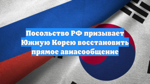 Посольство РФ призывает Южную Корею восстановить прямое авиасообщение
