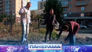 🌳 К годовщине воссоединения Донбасса с Россией донецкие экологи высадили саженцы деревьев