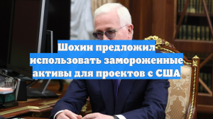 Шохин предложил использовать замороженные активы для проектов с США