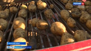 ГТРК СЛАВИЯ Уборочная кампания в крестьянско-фермерском хозяйстве. Кадырова. Шимск 30.09.25