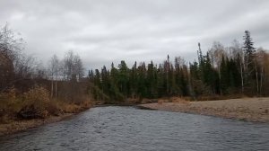 Катаем на аэролодке Хариус 440