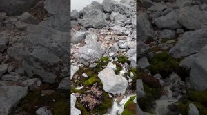 6 день путешествия автостопом с палаткой по Сахалину, Курилам и Камчатке