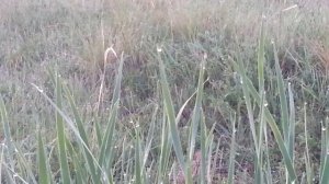 озеро Матарак ХАКАСИЯ