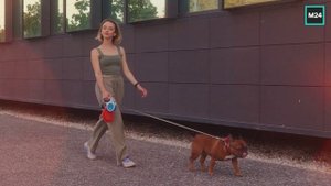 Солнечные дни осенью в Москве | О Москве с любовью