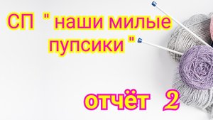 СП "Наши милые пупсики " // отчёт 2