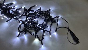 25 ноября 2024 г.