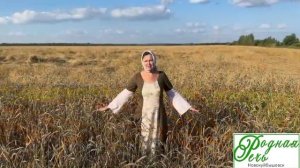 VID-20250828-WA0006 (1)