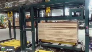 Линия двустороннего шлифования фанеры в Хабаровском крае