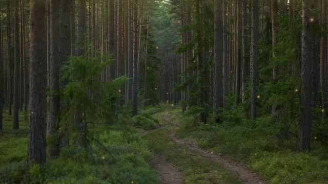 Melodic Bliss Hang Drum, Flute, And Vocals For A Soothing Escape  - Shofik-Nature
