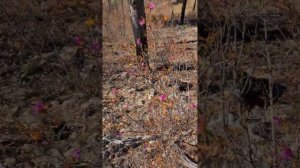 Виталий Василенко | ТОЧКА.РФ – МЕСТО | г. Хилок