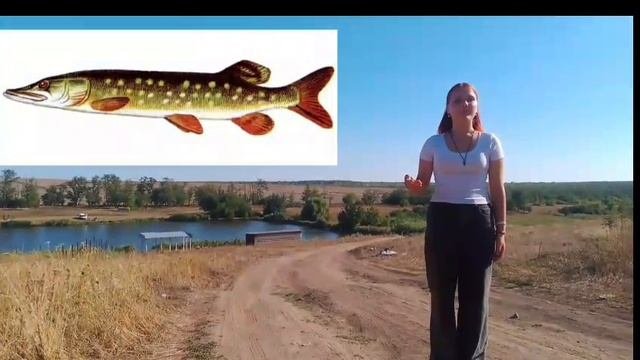 Раиса Коник | ТОЧКА.РФ – МЕСТО | г. Ростов-на-Дону