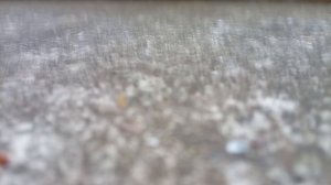 Тренировка на Авроре 1 часть