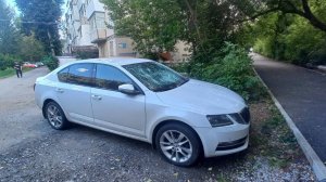 Участковый задержал автомобильного вандала