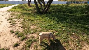 Иваново. Шок, что творится на набережной. Прогулка. сентябрь 2025