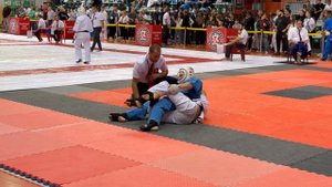 240 ед. Соревнования по кудо в Иваново 2025.