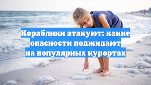 Кораблики атакуют: какие опасности поджидают на популярных курортах