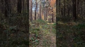 и снова про создание семьи.mp4