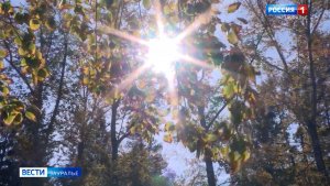 Первый месяц осени удивил не только аномально тёплыми днями, но и заморозками