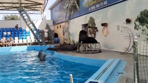 дефина 
дефина