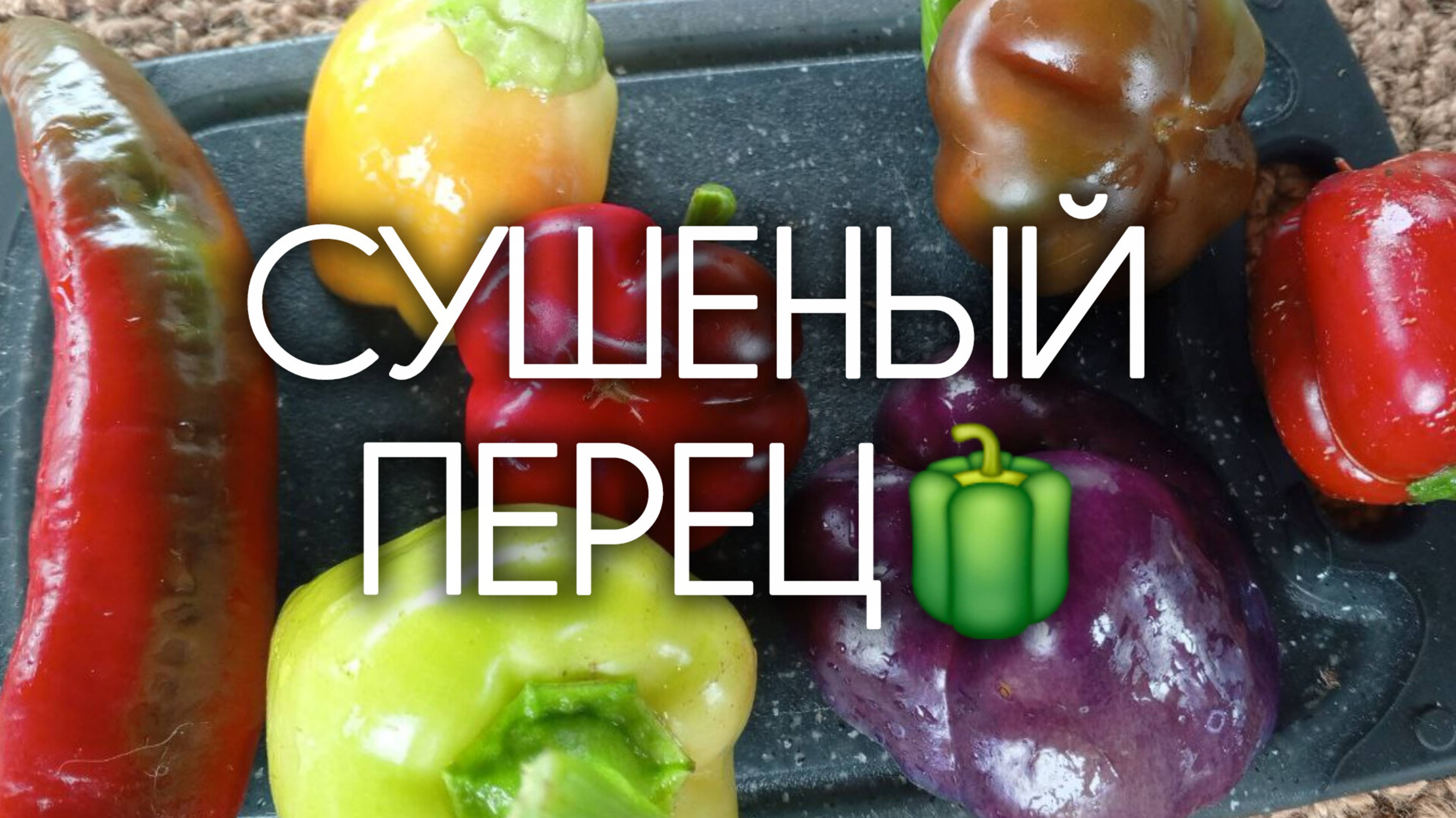 СУШЕНЫЕ СЛАДКИЕ ПЕРЦЫ 🫑🌶️ Приправа паприка своими руками