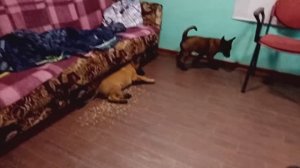 куда уходит детство