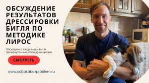 Интервью с Олегом, владельцем бигля по кличке Альф