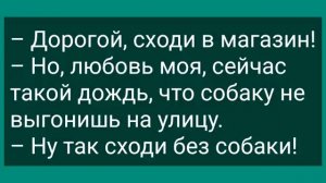 Зрелая Учительница Соблазнила Студента! Сборник Смешных Анекдотов! Юмор