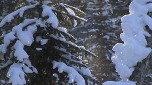 Зима» — Поёт Игорь КРАВЦОВ, БРАТСК_Full-HD.mp4