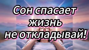 Сон и восстановление зачем телу отдых