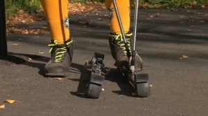 Апельсин. День пенсионера. 01-10-2025