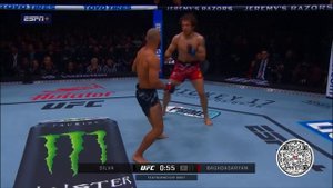 UFC - красивый нокаут