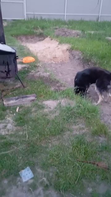 пусто смотреть онлайн