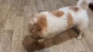 Зашёл к другу